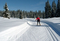 Les 11 et 12 février 2012 se tiendront la Transjurassienne et la Transju, départ les Rousses arrivée Mouthe, Lamoura, ou Bois d’Amont, selon la distance et le style de ski pratiqué classique ou libre.（攝影:  / 大紀元）  