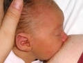 L’allaitement contribue à assurer un microbiote intestinal équilibré à l’enfant. (Wikimedia)