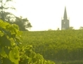 Un vignoble de Saint-Emilion, ancien terroir des vins de Bordeaux. Des investisseurs chinois s’intéressent de près aux vignobles français.  (Pascal Le Segretain/Getty Images)