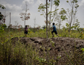 Des enfants jouent sur un tas de copeaux de bois abandonnés qui devait servir de biomasse pour la production d’énergie au Libéria, en Afrique de l’ouest. En 2010, Vattenfall, une entreprise suédoise du secteur énergétique, avait procédé à des investissements dans le pays, avant de se retirer subitement en 2012. (Anders Hansson/Swedwatch)