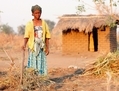 Photo d’une femme nettoyant des tiges et des feuilles dans un champ à Ligwangwa, au Malawi, le 3 octobre 2007. La plupart des femmes africaines travaillant dans le domaine agricole demandent aux principaux partis de créer des politiques visant à atténuer les effets du changement climatique, mais leurs voix ne sont pas entendues. (Mark Mainz/Getty Images for Help Foundation Malawai)