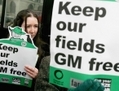 Une partisane d’Ami de la Terre brandit une pancarte à l’extérieur du parlement, lors d’une manifestation contre les OGM à Londres, Angleterre, le 23 février 2005. (Graeme Robertson/Getty Images) 