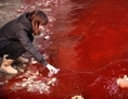Cette photo prise le 13 décembre 2011, montre une femme  en train de prélever un échantillon d’eau polluée rouge qui coule d’un égout vers la rivière Jian à Luoyang, la province du Henan en Chine du nord. La pollution de l’eau a atteint les proportions d’une crise majeure en Chine. (STR/AFP/Getty Images)