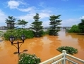 Une vue générale du niveau des hautes eaux de la rivière Beijiang le 19 août 2013, après le passage du typhon Utor dans la province du Guangdong, la plus peuplée au sud de la Chine. (ChinaFotoPress/Getty Images)