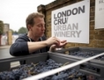 Gavin Monery, vigneron au premier établissement vinicole de Londres, London Cru (Ian Stirling) 