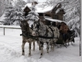  Magie de retrouver les ambiances hivernales de jadis dans un traîneau tiré par des chevaux. (Charles Mahaux)