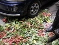 La police détruisant les fruits contaminés à la formaline. (Reaz Sumon © Demotix)
