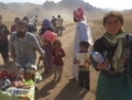 De nombreuses familles qui étaient bloquées dans les monts Sinjar par les mouvements islamistes se sont échappées. (© Médecins Sans Frontières)