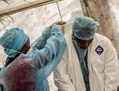 Des travailleurs de la santé en Afrique de l’Ouest (Tommy Trenchard/IRIN)