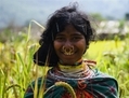 Les ancêtres de la communauté kondh, en Inde, préféraient le millet au riz. (Toby Nicholas/Survival International)