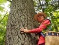 Anny Schneider aux côtés d'un pin blanc (Nathalie Dieul/Époque Times)