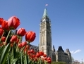 Le parlement d’Ottawa (Samira Bouaou/Époque Times)