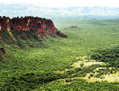 La région du Pantanal: entourée de crêtes, de montagnes et de plaines, elle comprend des écorégions diverses: corridors de rivières, de forêts galeries, de zones humides et de lacs pérennes, des plaines herbeuses périodiquement inondées et des forêts terrestres. (Wikimedia)
