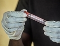 Un travailleur de la santé analyse un échantillon de sang à l’hôpital gouvernemental de Kenema, dans l’est de la Sierra Leone. (Tommy Trenchard/IRIN)
