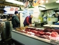 Le gouvernement japonais dit: «que la viande de baleine est un élément important de la culture nationale.». (Wikipédia)
