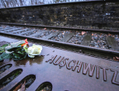 Berlin, Allemagne – Des roses déposées par des proches de victimes côtoient l’une des nombreuses plaques explicatives des convois transportant les juifs de Berlin vers le camp de concentration de Gleis 17 (Voie 17). Ce 27 janvier 2015 est le 70e anniversaire de la libération d’Auschwitz. (Carsten Koall/Getty Images)
