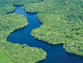  La forêt amazonienne. (Neil Palmer/CIAT)
