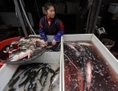 23 décembre 2010: une vendeuse de produits de la mer sur un marché de Hefei, province du Anhui. Un scientifique a dénoncé l’abus d’antibiotiques dans l’aquaculture en Chine. (STR/AFP/Getty Images)
