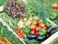 Plusieurs associations proposent des légumes frais et variés à Paris en provenance des producteurs locaux. (AMAP-PUTEAUX.BLOGSPOT.FR)
