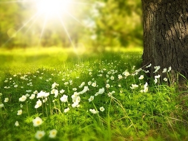 Nettoyage de printemps écologique. (PublicDomainPictures/pixabay.com)
