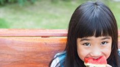 Des scientifiques ont compris comment amener les enfants à manger des aliments sains