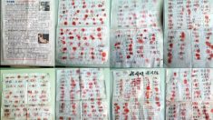 « Pire que le fascisme » : des dizaines de milliers de Chinois dénoncent les prélèvements d’organes