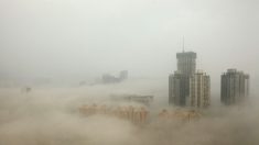 « Les avantages du nuage de pollution » et 10 autres affirmations absurdes de la machine de propagande chinoise