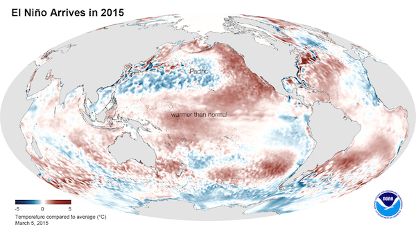 Les parties plus foncées représentent les zones plus chaudes de l’océan Pacifique. (Noaa/NASA)