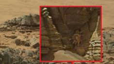 Panique sur internet, un « crabe de l’espace » découvert sur Mars