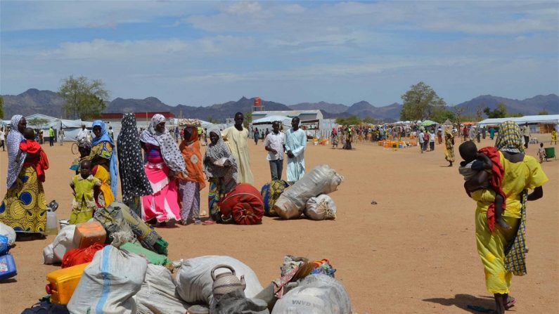 Des Nigérians attendent d’être enregistrés au camp de réfugiés de Minawao. (Brahima Ouedraogo/IRIN)
