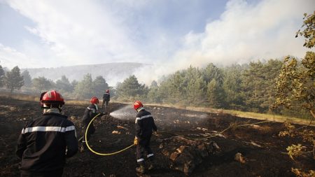 Retour sur les origines des incendies de forêts en France