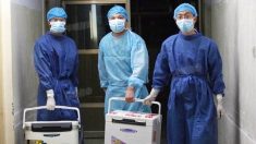 L’histoire des greffes d’organes en Chine – d’hier à aujourd’hui