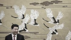 Xi Jinping se rend à Washington, les médias chinois « hyper-ventilent »