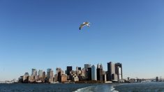 New York menacée par la montée rapide du niveau des mers