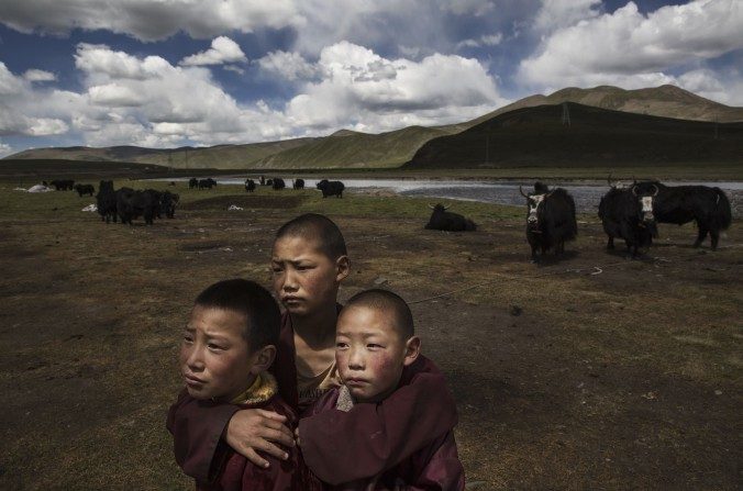 De jeunes moines bouddhistes tibétains dans leur camp nomade le 24 Juillet, 2015, sur le plateau tibétain du comté de Madou, Qinghai, en Chine. (Kevin Frayer/Getty Images)