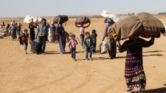 Compter sous les tirs : l’histoire méconnue des bilans meurtriers en Syrie