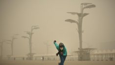 Alors que la COP21 bat son plein, la pollution étouffe Pékin