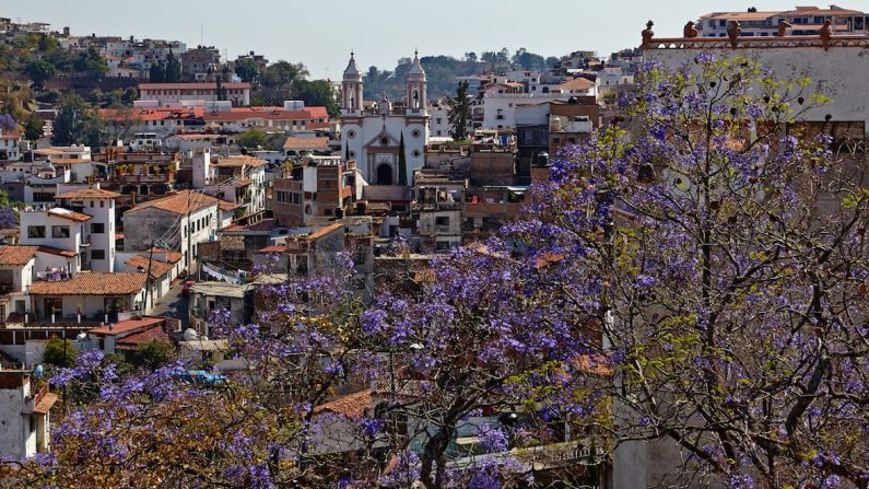Les jacarandas en fleurs donnent un éclat très particulier aux perspectives qui se découpent sur la ville. (Charles Mahaux)