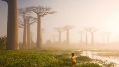 Les plus belles photos du National Geographic en 2015