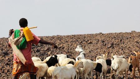Un invité indésirable : l’Afrique face à El Niño en 2016
