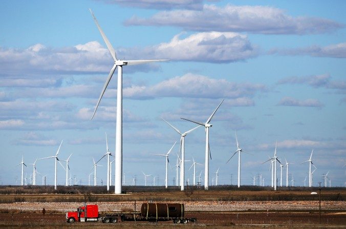 Champ d’éoliennes à Colorado City, Texas (Spencer Platt/Getty Images)