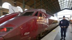 Paris-Bruxelles : Izy, un nouveau train low-cost