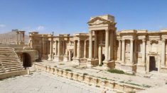 Palmyre après Daech, filmée par un drone