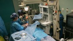 Un chirurgien s’arrête au milieu d’une opération, exigeant 1 000 € pour terminer