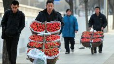 Chine: des fraises creuses et injectées d’hormones