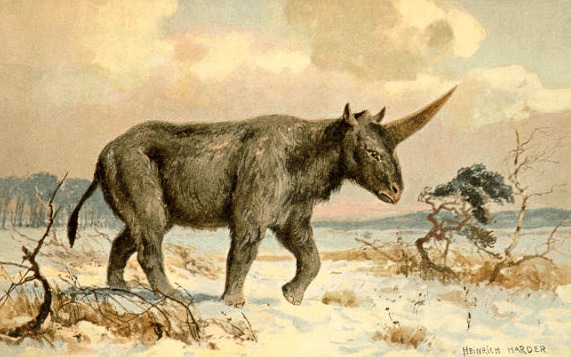 Peinture d'Heinrich Harder représentant une « unicorne sibérienne » (Domaine public)