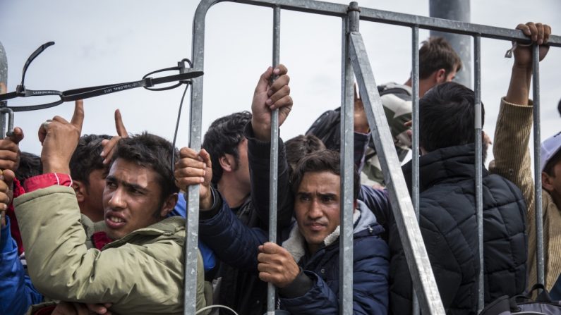 Attendant derrière une barrière érigée par les forces policières avec des centaines d’autres demandeurs d’asile afghans, Hamayoon Ziraki (au centre) regarde patiemment alors que des familles syriennes sont choisies pour monter dans les autobus que les autorités slovènes ont mis à leur disponibilité pour passer les frontières et les mener en Autriche. (Jodi Hilton/IRIN)