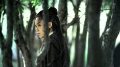 The Assassin de Hou Hsiao-hsien