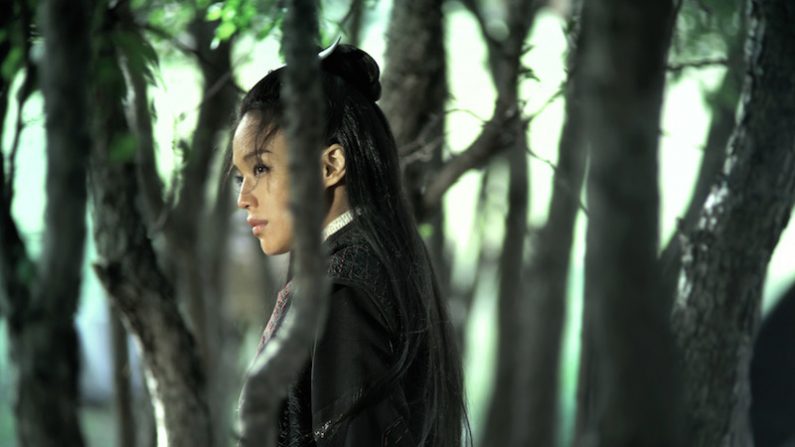 Nie Yinniang interprétée par la remarquable Shu Qi dans The Assassin. (SpotFilms)