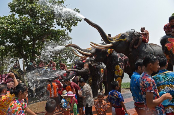 Lors des festivités du Au Nouvel an thaïlandais à Ayutthaya, au nord de Bangkok, les éléphants font une bataille d'eau avec les villageois. (Christophe Archambault/AFP/Getty Images)